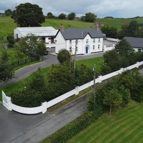 Silvi's Guest House B & B Borris Carlow, ξενοδοχείο σε Lissalican