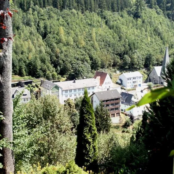Gasthof Rodachtal mit Gästehaus Katharina, ξενοδοχείο σε Schwarzenbach am Wald