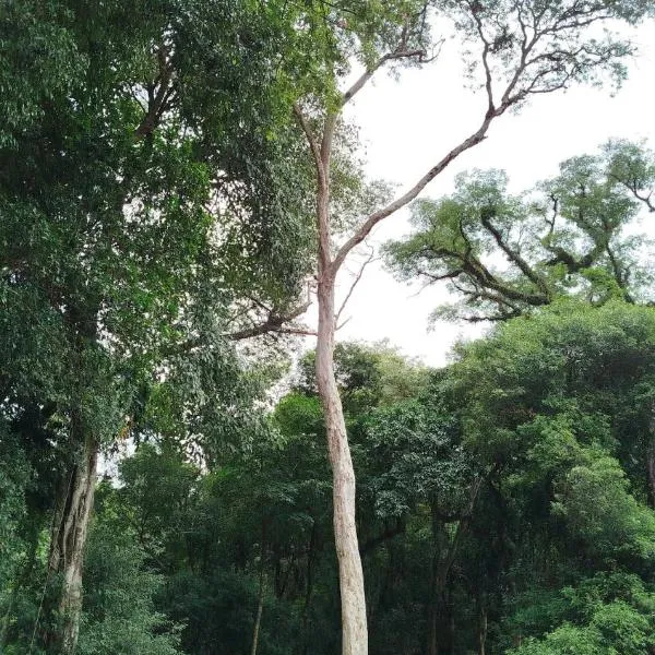 La Reserva, hotel in Oberá