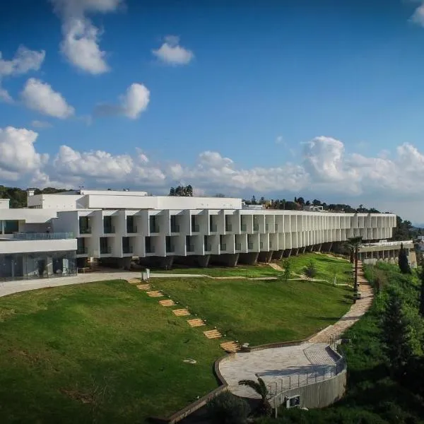 Elma Hotel and Art Complex，位于兹奇隆亚科夫的酒店