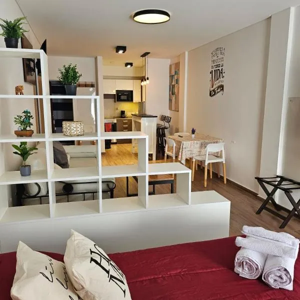 Amplio y hermoso departamento en Buenos Aires, hotel en Buenos Aires