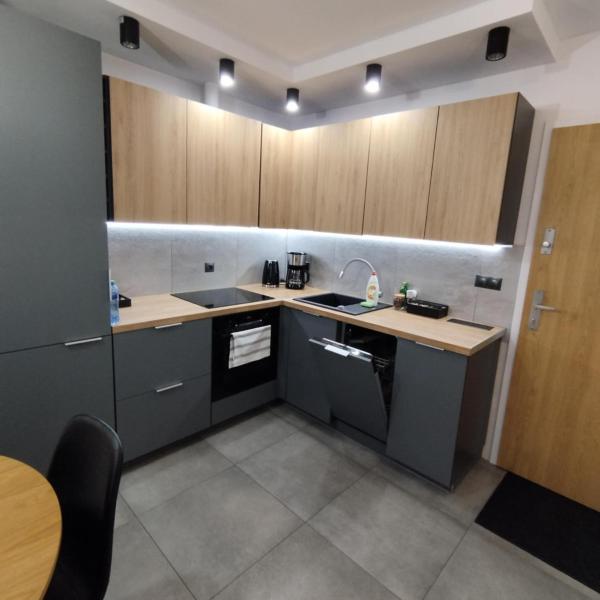 Mieszkanie w nowoczesnym Halo Apartament w centrum, Wrocław
