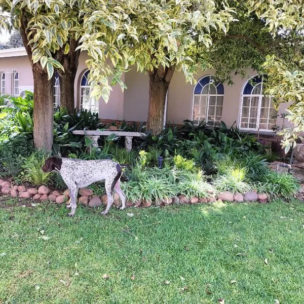 WHY NOT GUESTHOUSE, Hotel in Bothaville