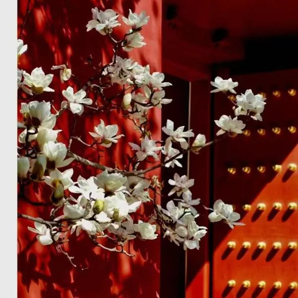 Hotel Cote Cour Deductive Beijing - Quadrangle close to Tiananmen Square & Forbidden City & Nanluoguxiang, Walk to Wangfujing, English speaking, Free WiFi, Free Laundry, Free Wonton & Noodles with Tour ticket service, Free selfies with ancient costume, hotel in Beijing