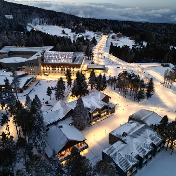 Swissotel Uludag Bursa, hotel v mestu Bursa