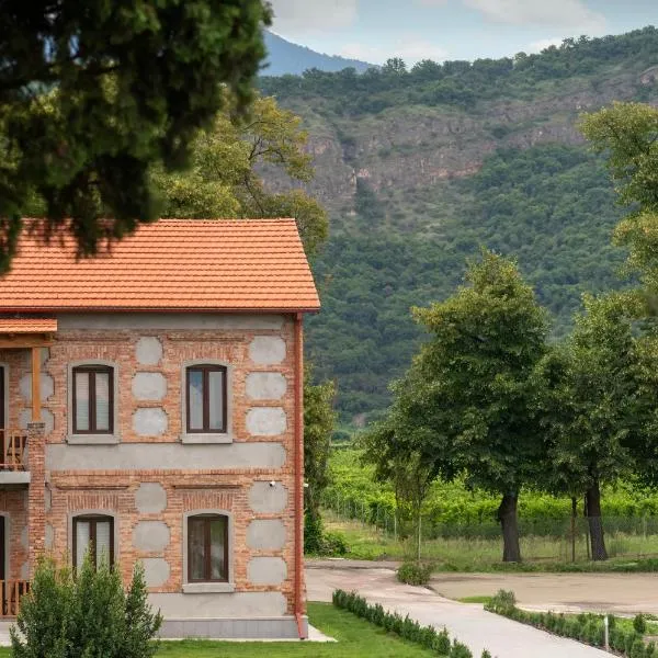 Samzeo Kvareli, ξενοδοχείο σε Kvareli