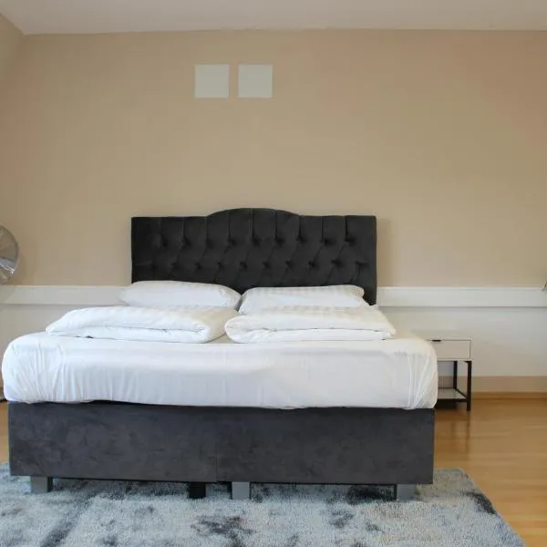 Deluxe Urban Stay，位于林茨的酒店
