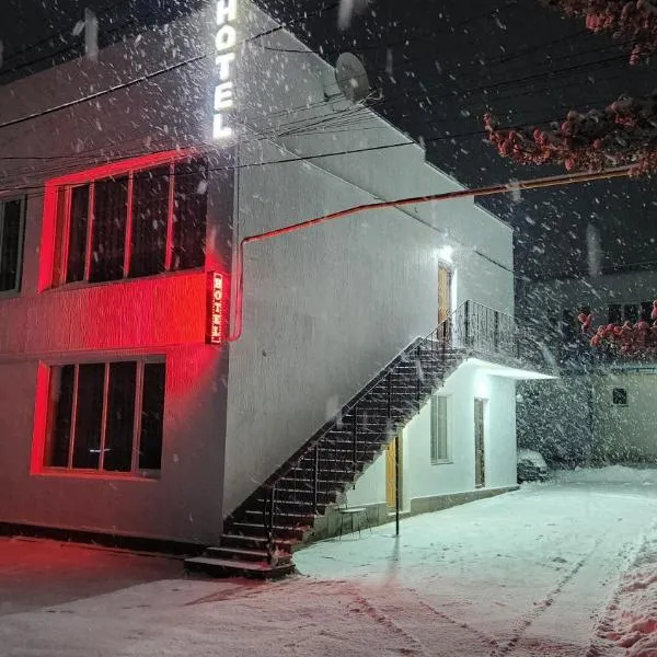 Sonya, ξενοδοχείο σε Ninotsminda