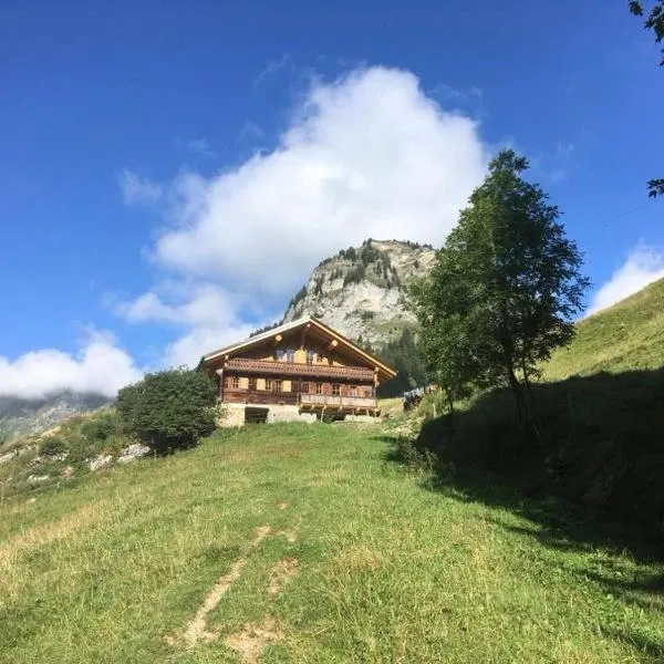 Alpage Le Pont, hotel in Champéry