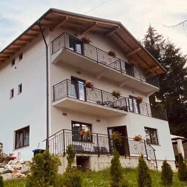 Casa dintre Brazi, Hotel in Statiunea Borsa