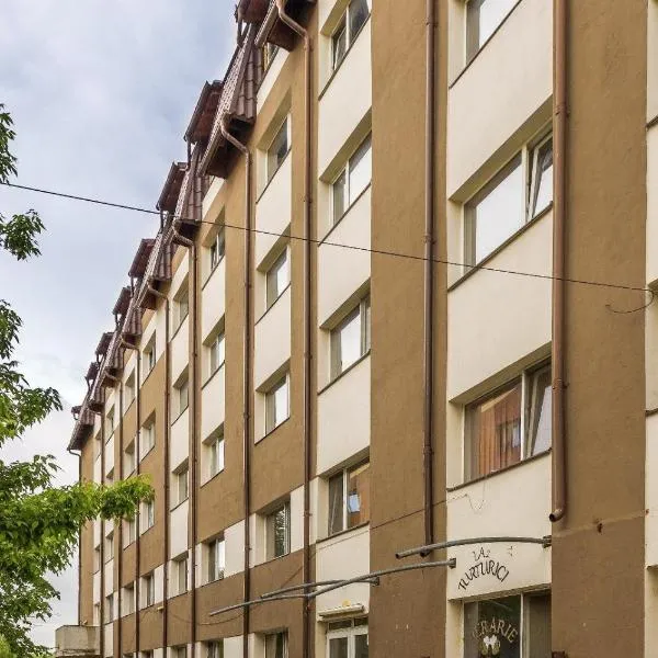 Hotel Jolie, Hotel in Brazii de Sus