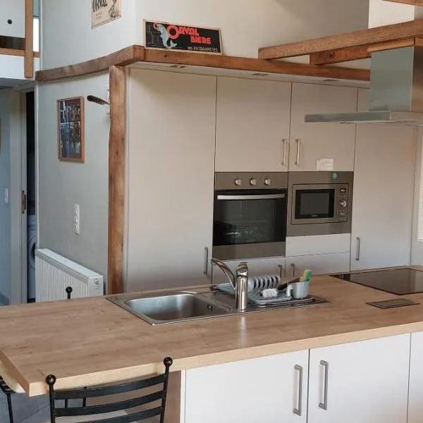 L'Alchémille loft 6 personnes 2 chambres - 1 canapé lit, ξενοδοχείο σε Gérouville