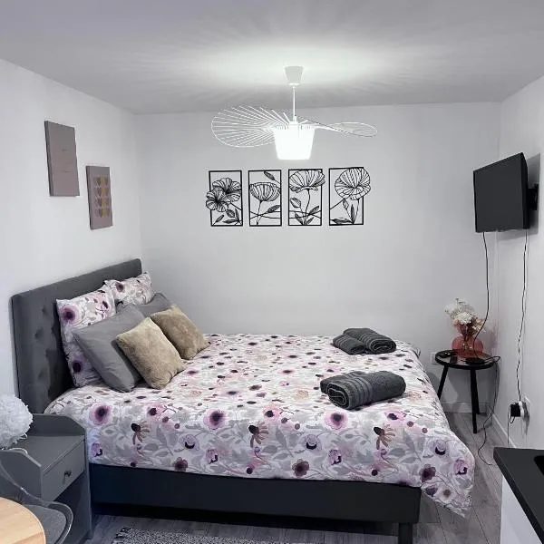 Le Patcho Charmant studio Confortable & Chaleureux , idéalement situé proche centre ville Quartier Neustadt Tribunal, Contades, hotel in Strasbourg