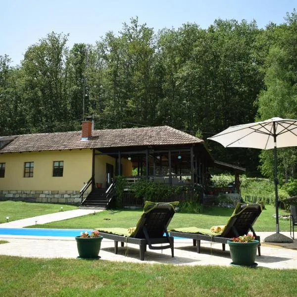 Pansion Savinac, Hotel in Takovo