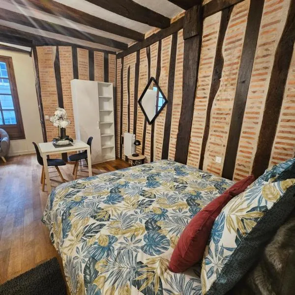 Petit havre de paix - quartier historique, hotel v destinaci Tours