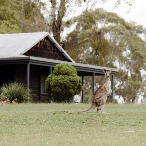 Viesnīca Palmers Lane Estate Hunter Valley pilsētā Pokolbina