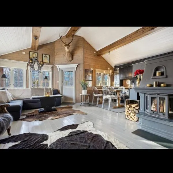 Bjorli Mountain Cabin: Bjorli şehrinde bir otel