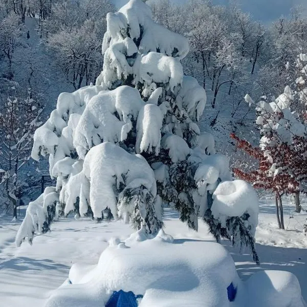 Istisu Valley Spa，伊斯梅爾雷的飯店