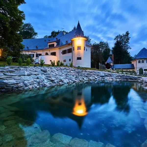 Boutique hotel & Wellness Spitzerova vila Eliška, ξενοδοχείο σε Janovice