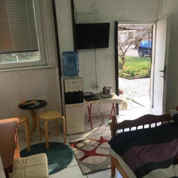 Apartment with big yard and garden, Hotel in Struga