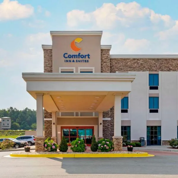Comfort Inn & Suites East Ellijay、エリジェイのホテル