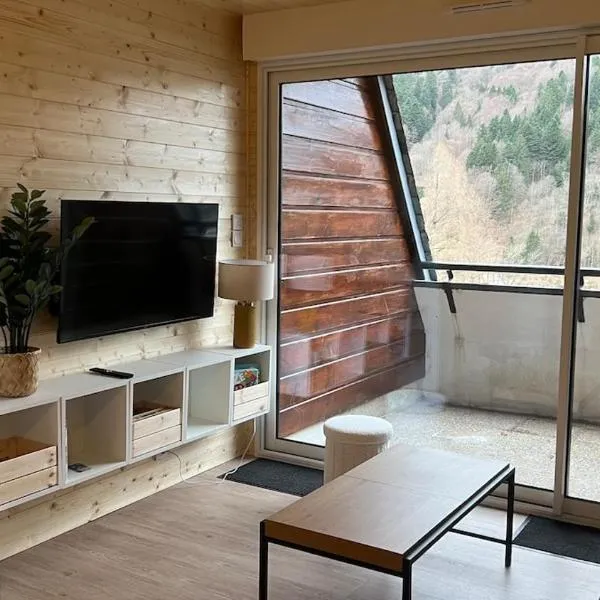 Studio cosy Mont-Dore avec vue, balcon, parking, hotel in Le Mont-Dore