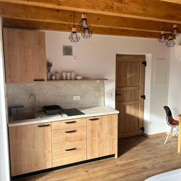 Borl Apartment、Gradiščaのホテル