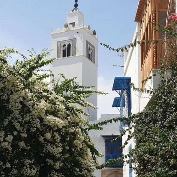 BALKIS La RÊNE DE SABA, hotel in Sidi Bou Saïd