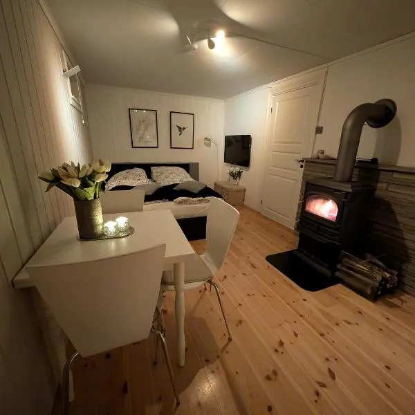 Koselig kjellerleilighet, gratis parkering!, hotel in Trondheim