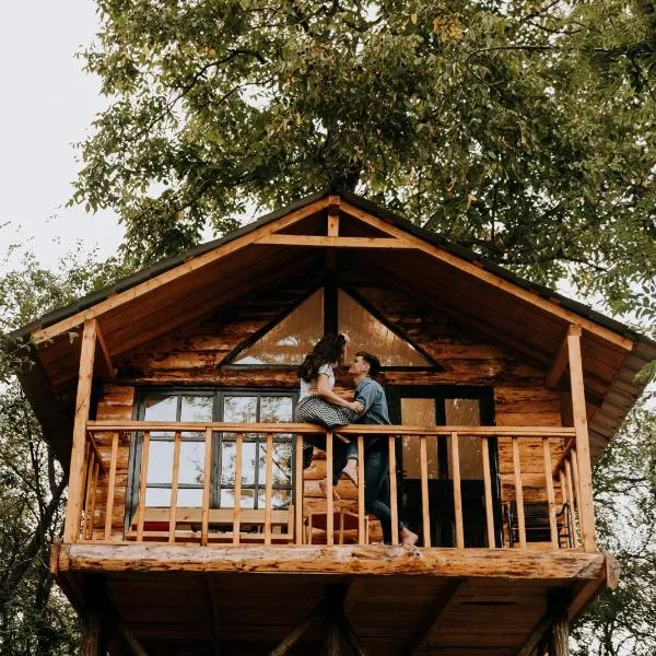 Loft Treehouse, hotel v destinaci Peşteana