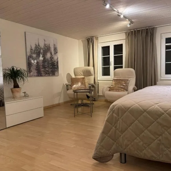 Ruhige Weitsicht, hotel en Schmidrüti