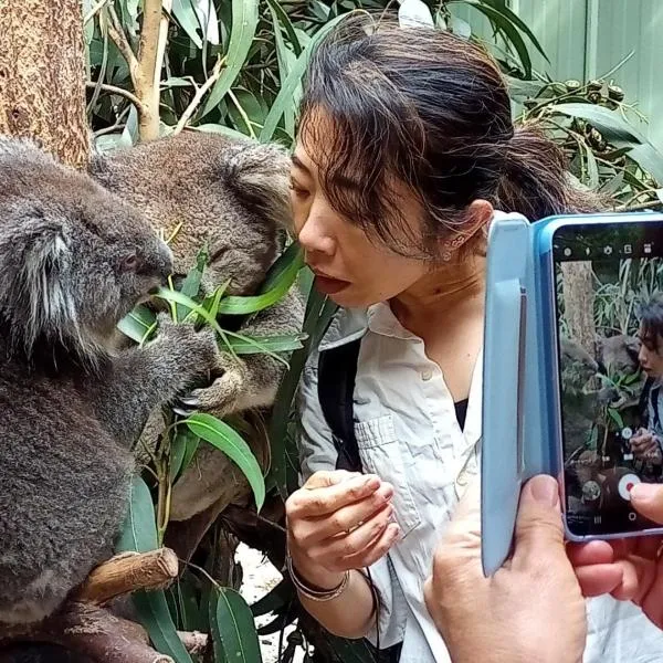 Fauna Australia Wildlife Experience, hotel in Lavers Hill