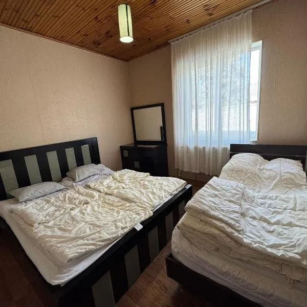 Home in Bakuriani, hotel v destinaci Bakuriani