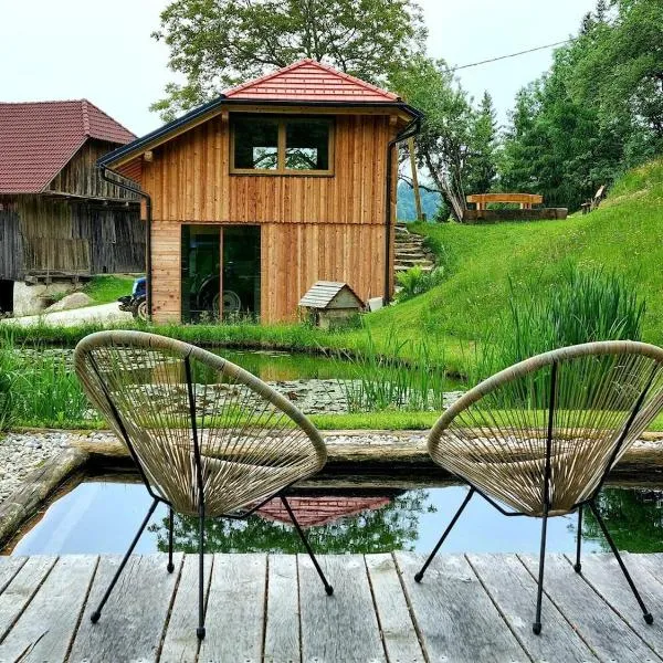 Studio Apartma2 pri Adamu, hotel din Mislinja