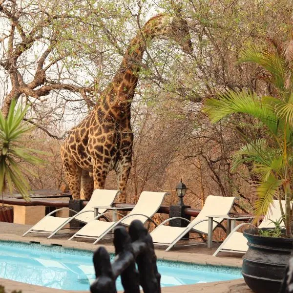 African Rock Lodge, hotel in Hoedspruit