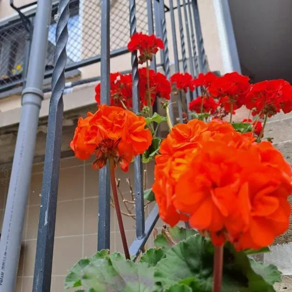 Camelia's Unterkunft, hotel v destinaci Sulzthal