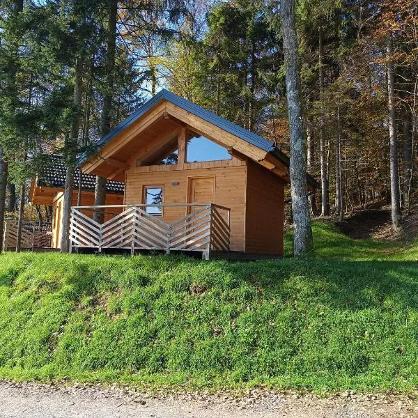 Turistična kmetija Okršlan, hotel in Škofja Loka