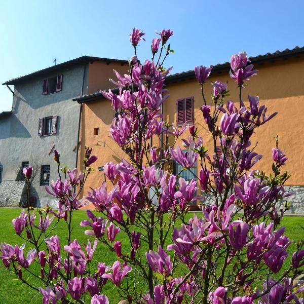 Agriturismo La Querce