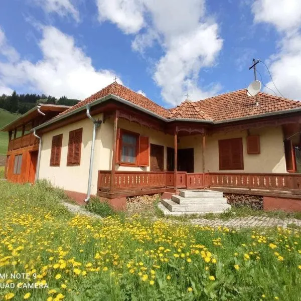 Öreg Tornácos Lak, hotel v destinaci Lunca de Sus