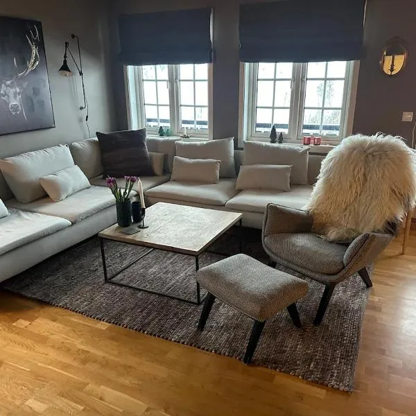 Leilighet i 1 etg Røldal, hotel in Håra