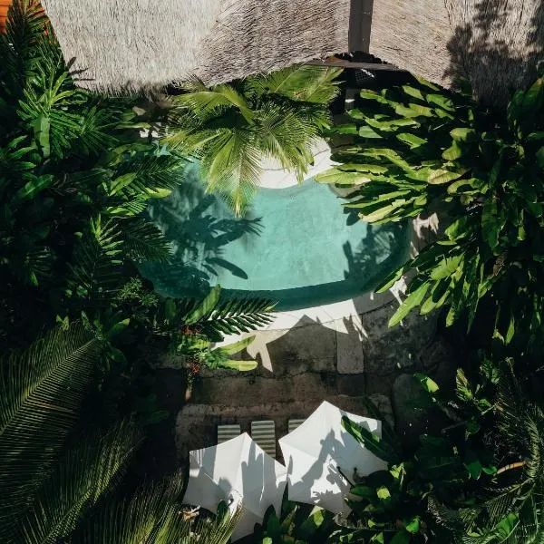 Conga Boutique Hotel, hotell sihtkohas Puerto Viejo