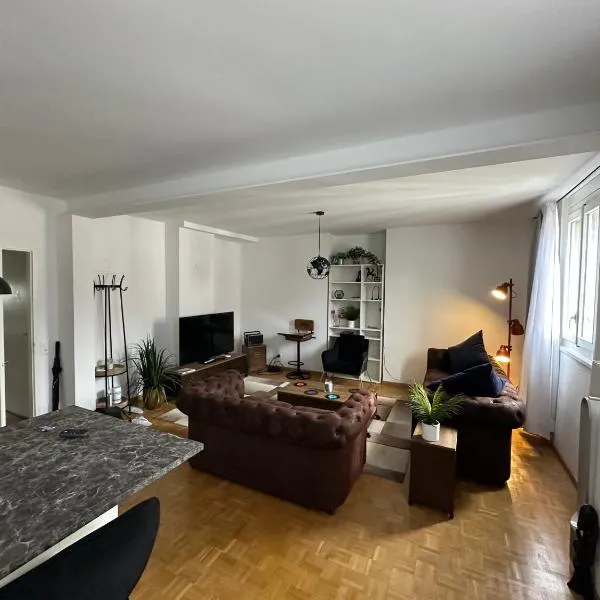 Magnificent apartment, Geneva Center, Geneva Lake，位于日内瓦的酒店