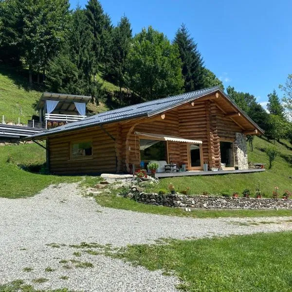 Cabana Riky House, ξενοδοχείο σε Statjunea Borsa