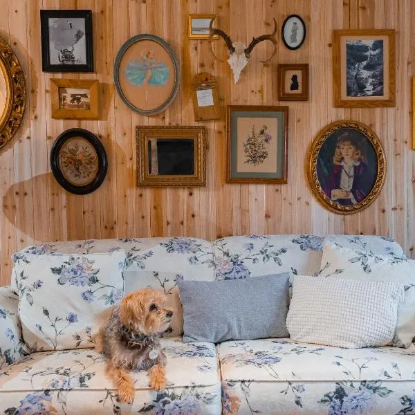 Cabin on Hunter Mtn Seasonal Pool Access w Panoramic Views Hike Swim Fish Recharge, hotel in Lanesville