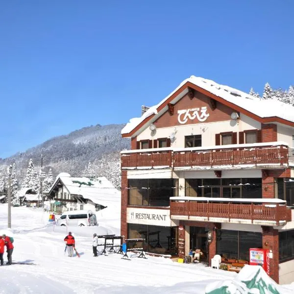 Lodge Denbey, hotel in Nozawa Onsen