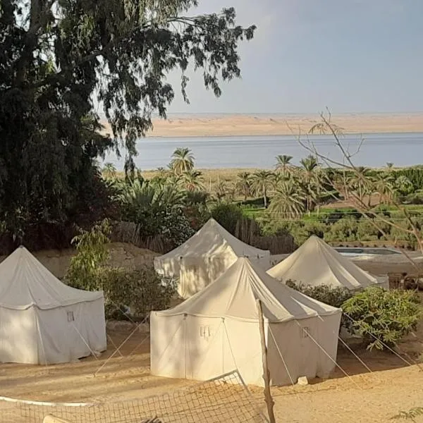 Tunis Camp Fayoum, hotel v destinaci Fajjúm