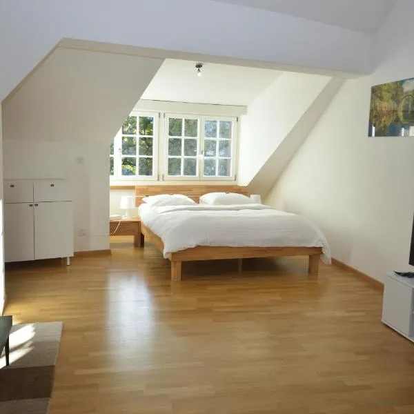 Loft in the historical center - Symbol 4, hotel in Zurich
