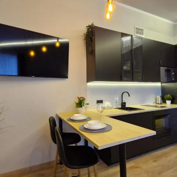 Räpina Studio Apartment, hotell sihtkohas Räpina
