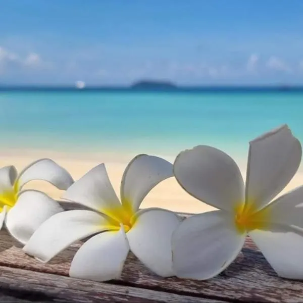 Karibokite โรงแรมในดิเอโก ซัวเรซ