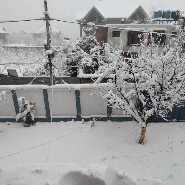 The Vintage Kashmir Homestay, hotel in Srinagar